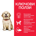 Заредете изображението в програмата за преглед на галерия, Hill’s Science Plan Canine Puppy Large Breed с пилешко - Zoo-PetShop
