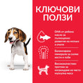 Заредете изображението в програмата за преглед на галерия, Hill’s Science Plan Canine Puppy Medium с пилешко - Zoo-PetShop