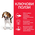 Заредете изображението в програмата за преглед на галерия, Hill’s Science Plan Canine Puppy Medium с агнешко и ориз - Zoo-PetShop