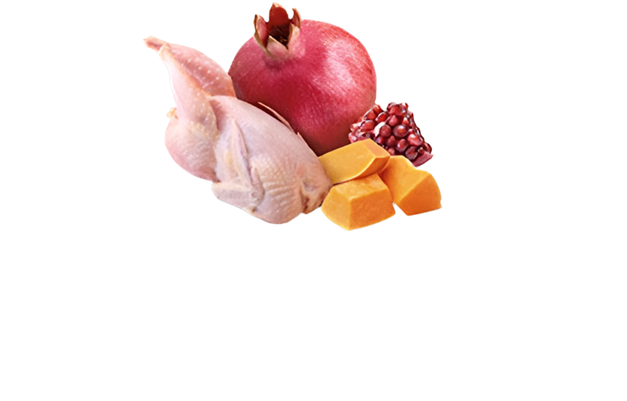 N&D Pumpkin Cat Quail & Pumpkin