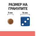 Заредете изображението в програмата за преглед на галерия, PRESCRIPTION DIET ON-CARE – СУХА ЛЕЧЕБНА ХРАНА ЗА КОТКИ, СТРАДАЩИ ОТ ТЕЖКИ ЗАБОЛЯВАНИЯ, С ПИЛЕШКО - Zoo-PetShop