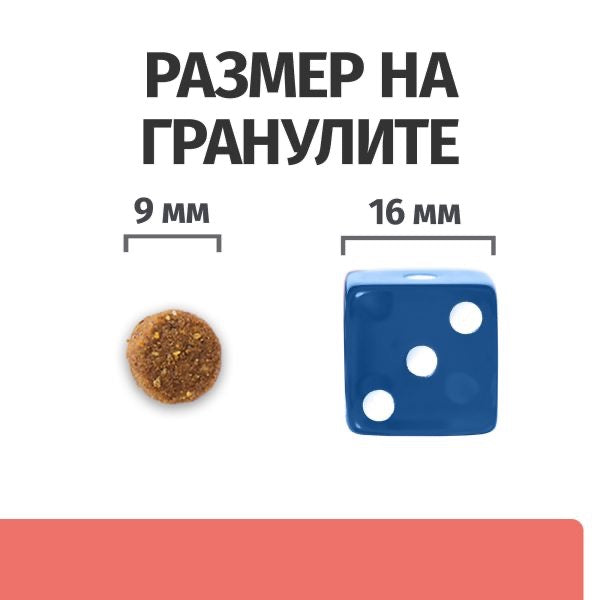 PRESCRIPTION DIET ON-CARE – СУХА ЛЕЧЕБНА ХРАНА ЗА КОТКИ, СТРАДАЩИ ОТ ТЕЖКИ ЗАБОЛЯВАНИЯ, С ПИЛЕШКО - Zoo-PetShop