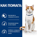 Заредете изображението в програмата за преглед на галерия, PRESCRIPTION DIET ON-CARE – СУХА ЛЕЧЕБНА ХРАНА ЗА КОТКИ, СТРАДАЩИ ОТ ТЕЖКИ ЗАБОЛЯВАНИЯ, С ПИЛЕШКО - Zoo-PetShop