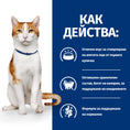 Заредете изображението в програмата за преглед на галерия, PRESCRIPTION DIET ON-CARE – СУХА ЛЕЧЕБНА ХРАНА ЗА КОТКИ, СТРАДАЩИ ОТ ТЕЖКИ ЗАБОЛЯВАНИЯ, С ПИЛЕШКО - Zoo-PetShop