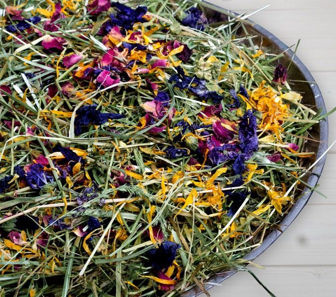 FreshGrass Hay Blossoms – Сено от свежа трева с цветове на растения - Zoo-PetShop