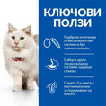 Заредете изображението в програмата за преглед на галерия, HILL’S SCIENCE PLAN ADULT CAT HYPOALLERGENIC С ЯЙЦА И ПРОТЕИН ОТ НАСЕКОМИ – БЕЗ ЗЪРНЕНИ КУЛТУРИ – ПЪЛНОЦЕННА ХИПОАЛЕРГЕННА СУХА ХРАНА ЗА КОТКИ В ЗРЯЛА ВЪЗРАСТ - Zoo-PetShop