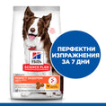 Заредете изображението в програмата за преглед на галерия, Hill's Science Plan Perfect Digestion Medium Adult Dog 1+ с пилешко и кафяв ориз - Zoo-PetShop