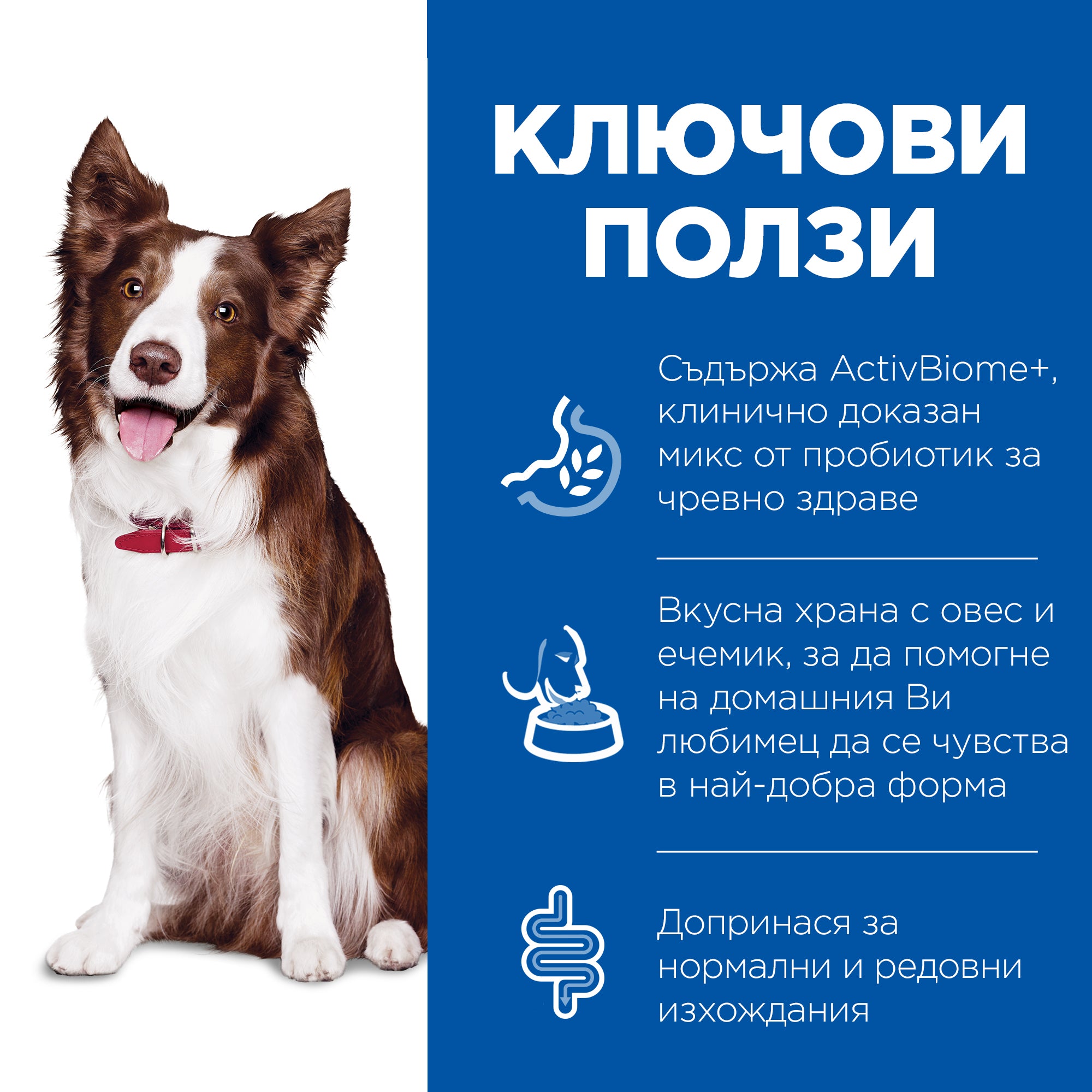 Hill's Science Plan Perfect Digestion Medium Adult Dog 1+ с пилешко и кафяв ориз - Zoo-PetShop