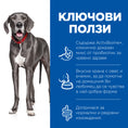 Заредете изображението в програмата за преглед на галерия, Hill's Science Plan Perfect Digestion Large Adult Dog 1+ с пилешко и кафяв ориз - Zoo-PetShop