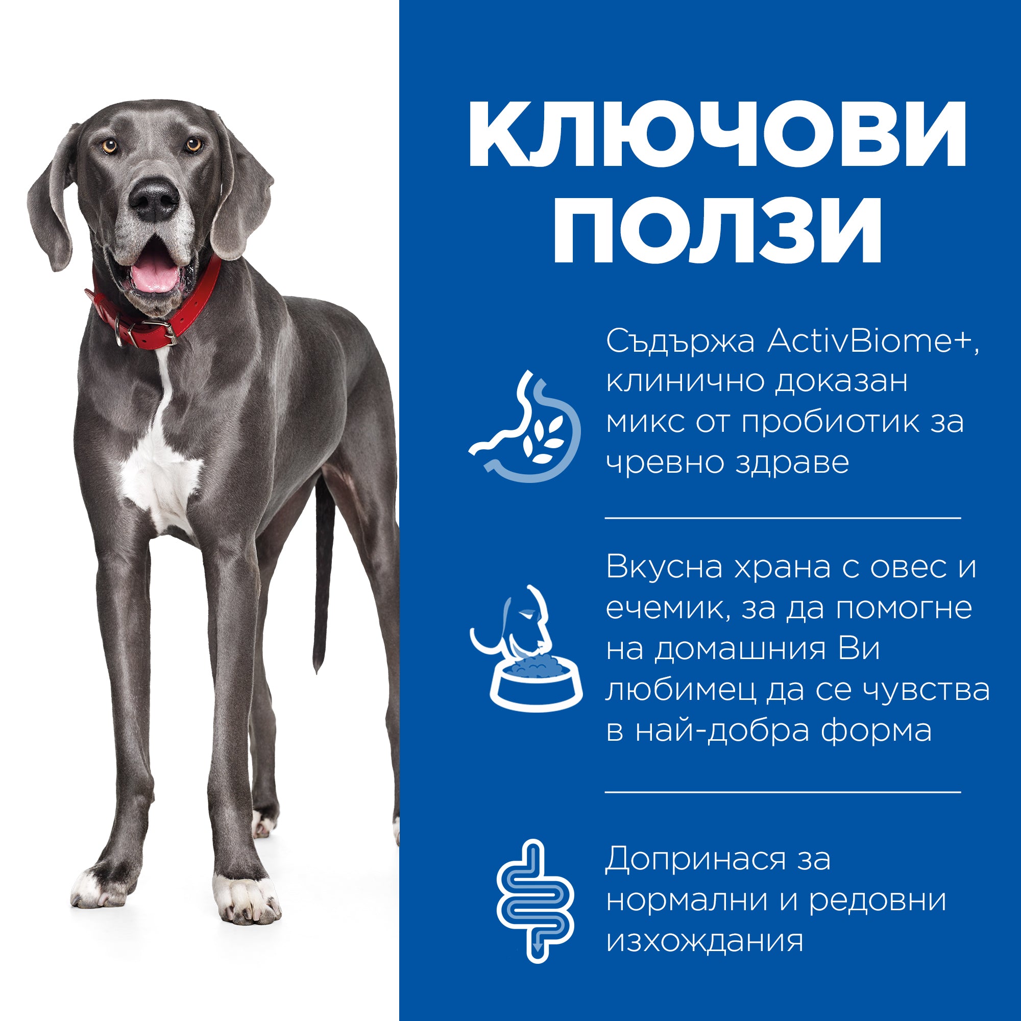 Hill's Science Plan Perfect Digestion Large Adult Dog 1+ с пилешко и кафяв ориз - Zoo-PetShop