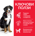 Заредете изображението в програмата за преглед на галерия, Hill's Science Plan Large Breed Adult с пилешко - Zoo-PetShop