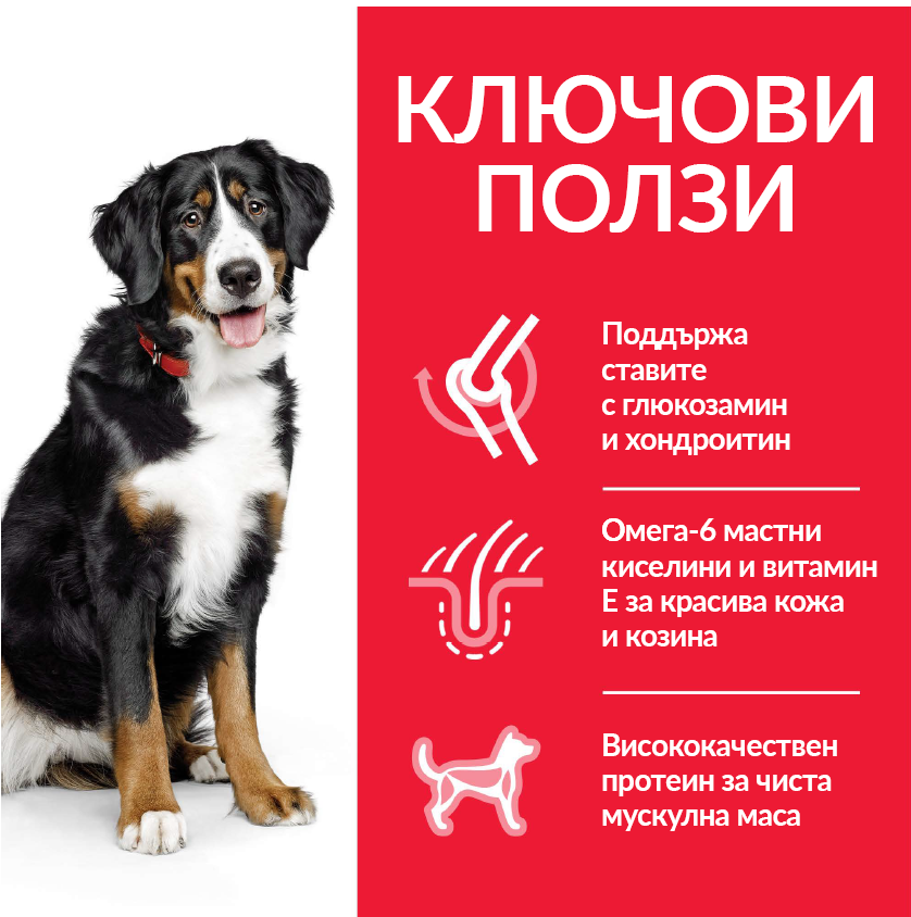 Hill's Science Plan Large Breed Adult с пилешко - Zoo-PetShop