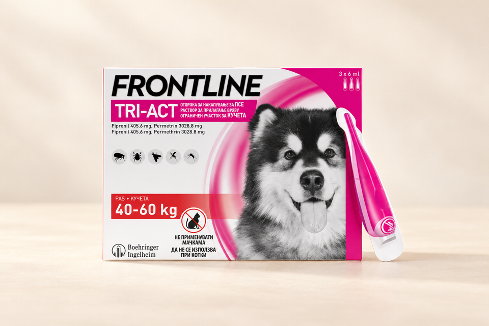 Frontline
