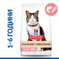 Заредете изображението в програмата за преглед на галерия, Hill's Science Plan Culinary Creations Cat Adult Salmon & Carrots - Zoo-PetShop
