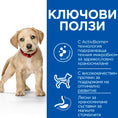 Заредете изображението в програмата за преглед на галерия, Hill's Science Plan Puppy Perfect Digestion Large - Zoo-PetShop

