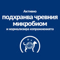 Заредете изображението в програмата за преглед на галерия, Hill’s PRESCRIPTION DIET Gastrointestinal Biome Mini - Zoo-PetShop
