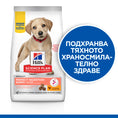 Заредете изображението в програмата за преглед на галерия, Hill's Science Plan Puppy Perfect Digestion Large - Zoo-PetShop
