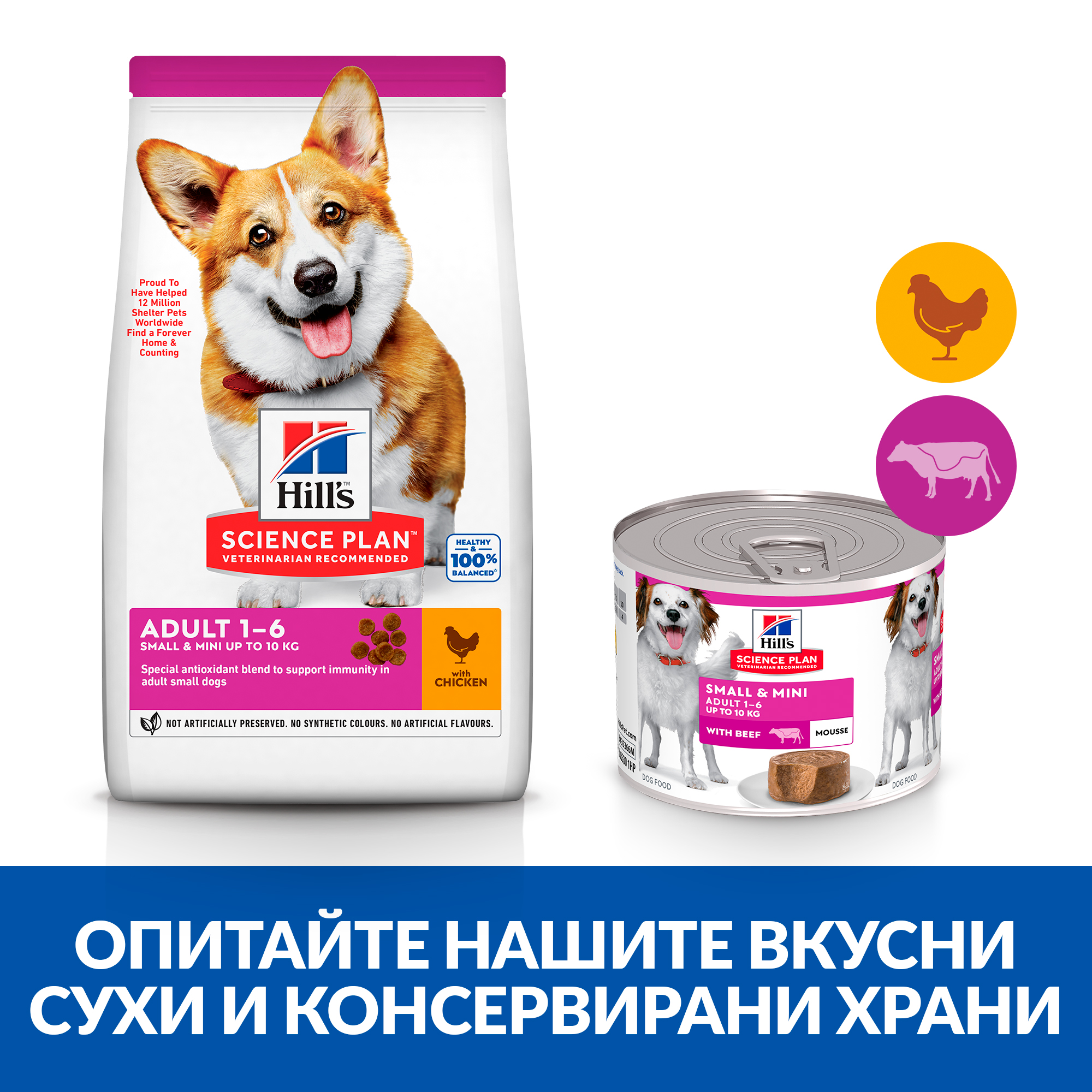 Hill's Science Plan Small & Mini Adult Mousse Chicken - Zoo-PetShop