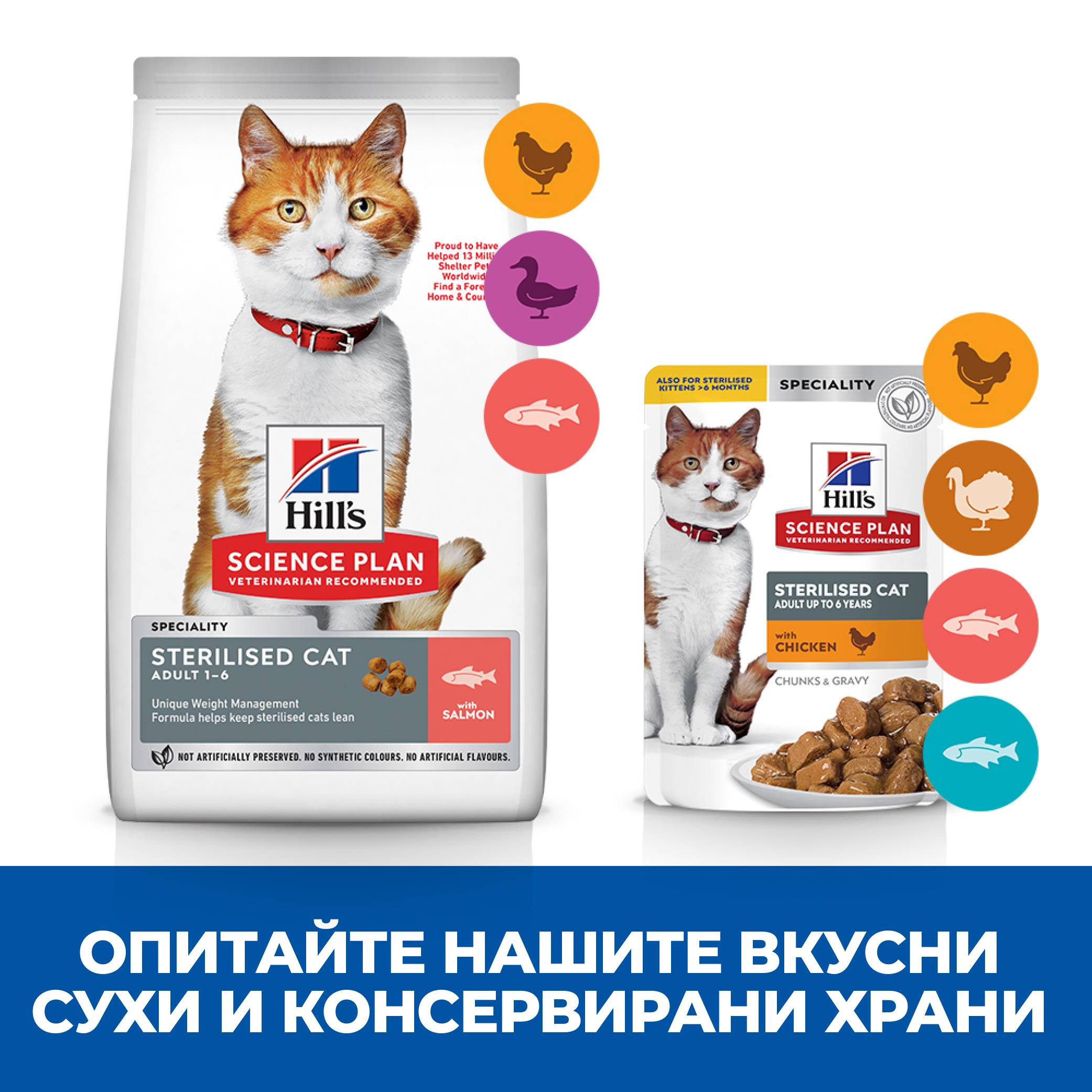 Hill's Science Plan Feline & Adult Sterilised Salmon - Zoo-PetShop