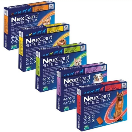 NEXGARD SPECTRA – НЕКСГАРД СПЕКТРА СРЕЩУ БЪЛХИ, КЪРЛЕЖИ, ДИРОФИЛАРИОЗА, КРЪГЛИ ЧЕРВЕИ, 7.5-15 кг -3 бр. в кутия