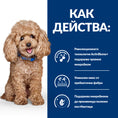 Заредете изображението в програмата за преглед на галерия, Hill’s PRESCRIPTION DIET Gastrointestinal Biome Mini - Zoo-PetShop
