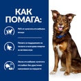 Заредете изображението в програмата за преглед на галерия, Hill's PRESCRIPTION DIET Metabolic Weight Management - Zoo-PetShop
