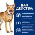 Заредете изображението в програмата за преглед на галерия, Hill's PRESCRIPTION DIET i/d Digestive Care AB+ - Zoo-PetShop
