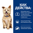 Заредете изображението в програмата за преглед на галерия, Hill's PRESCRIPTION DIET k/d Kidney Care - Zoo-PetShop
