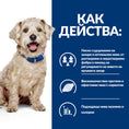 Заредете изображението в програмата за преглед на галерия, Hill's PRESCRIPTION DIET w/d Diabetes Care - Zoo-PetShop
