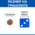 Заредете изображението в програмата за преглед на галерия, Hill's Science Plan Puppy Perfect Digestion Small & Mini - Zoo-PetShop
