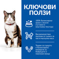 Заредете изображението в програмата за преглед на галерия, Hill's Science Plan Culinary Creations Cat Adult Salmon & Carrots - Zoo-PetShop
