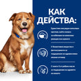 Заредете изображението в програмата за преглед на галерия, Hill's PRESCRIPTION DIET Derm Complete - Zoo-PetShop
