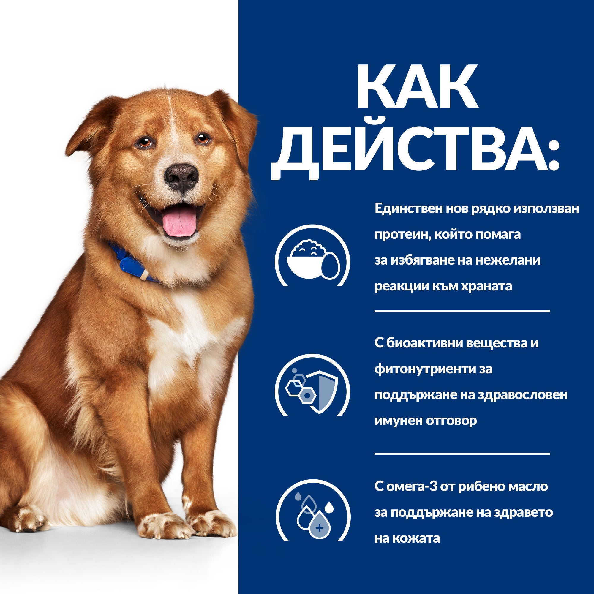 Hill's PRESCRIPTION DIET Derm Complete - Zoo-PetShop