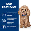 Заредете изображението в програмата за преглед на галерия, Hill’s PRESCRIPTION DIET Gastrointestinal Biome Mini - Zoo-PetShop
