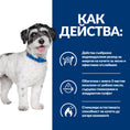 Заредете изображението в програмата за преглед на галерия, Hill's PRESCRIPTION DIET Metabolic + Mobility Mini - Zoo-PetShop
