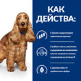 Заредете изображението в програмата за преглед на галерия, Hill's PRESCRIPTION DIET z/d Food Sensitivities AB+ - Zoo-PetShop
