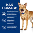 Заредете изображението в програмата за преглед на галерия, Hill's PRESCRIPTION DIET i/d Digestive Care AB+ - Zoo-PetShop
