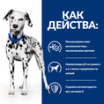 Заредете изображението в програмата за преглед на галерия, Hill's Prescription Diet u/d Urinary Care - Zoo-PetShop
