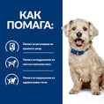 Заредете изображението в програмата за преглед на галерия, Hill's PRESCRIPTION DIET w/d Diabetes Care - Zoo-PetShop
