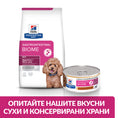 Заредете изображението в програмата за преглед на галерия, Hill’s PRESCRIPTION DIET Gastrointestinal Biome Mini - Zoo-PetShop
