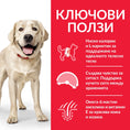 Заредете изображението в програмата за преглед на галерия, Hill’s Science Plan Canine Adult Light Lаrge Breed с пилешко - Zoo-PetShop
