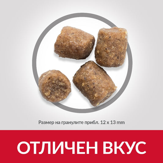 Hill’s Science Plan Adult Performance с пилешко - Zoo-PetShop