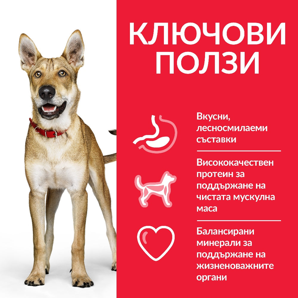 Hill’s Science Plan Adult Performance с пилешко - Zoo-PetShop