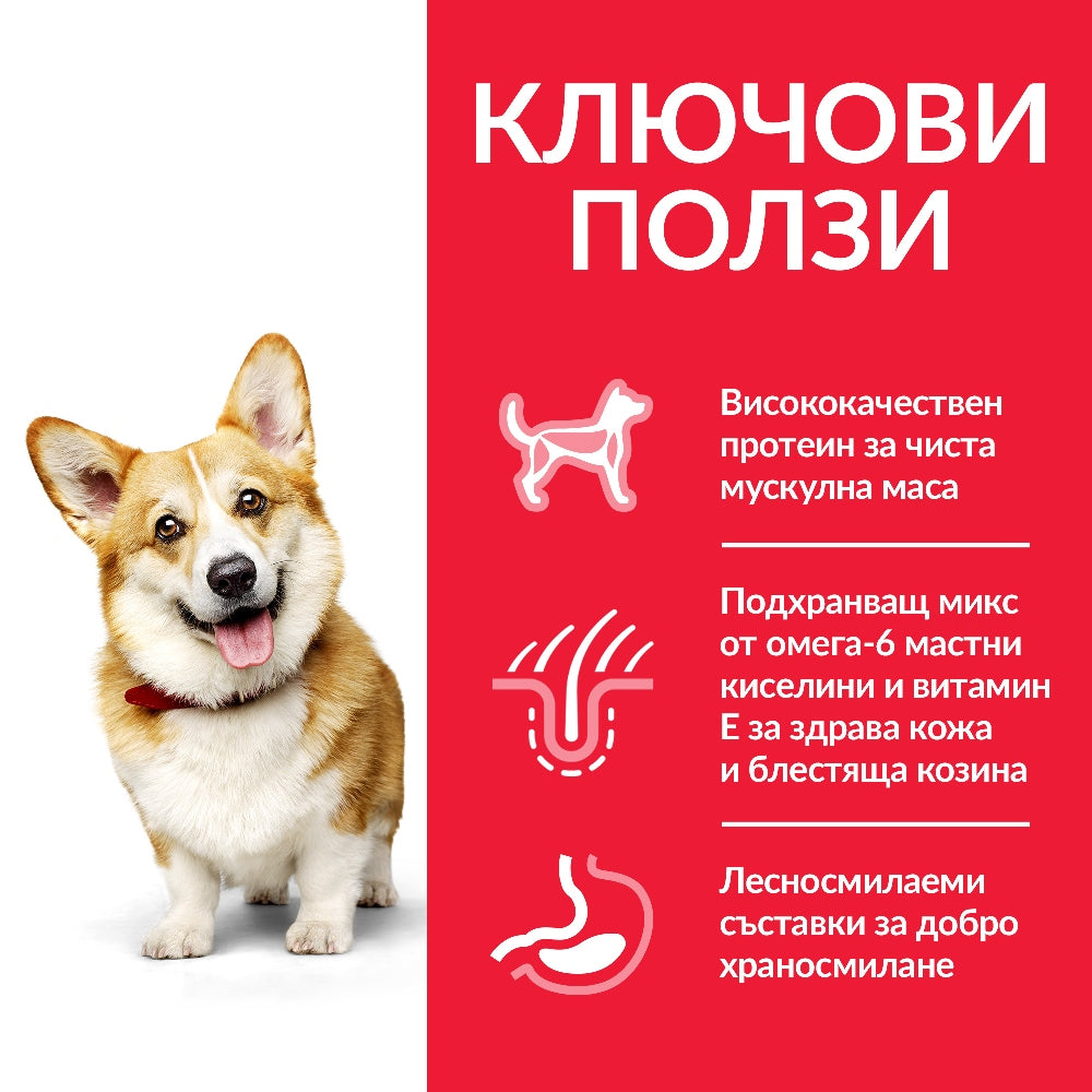 Hill's Science Plan Small & Mini Adult с пилешко - Zoo-PetShop