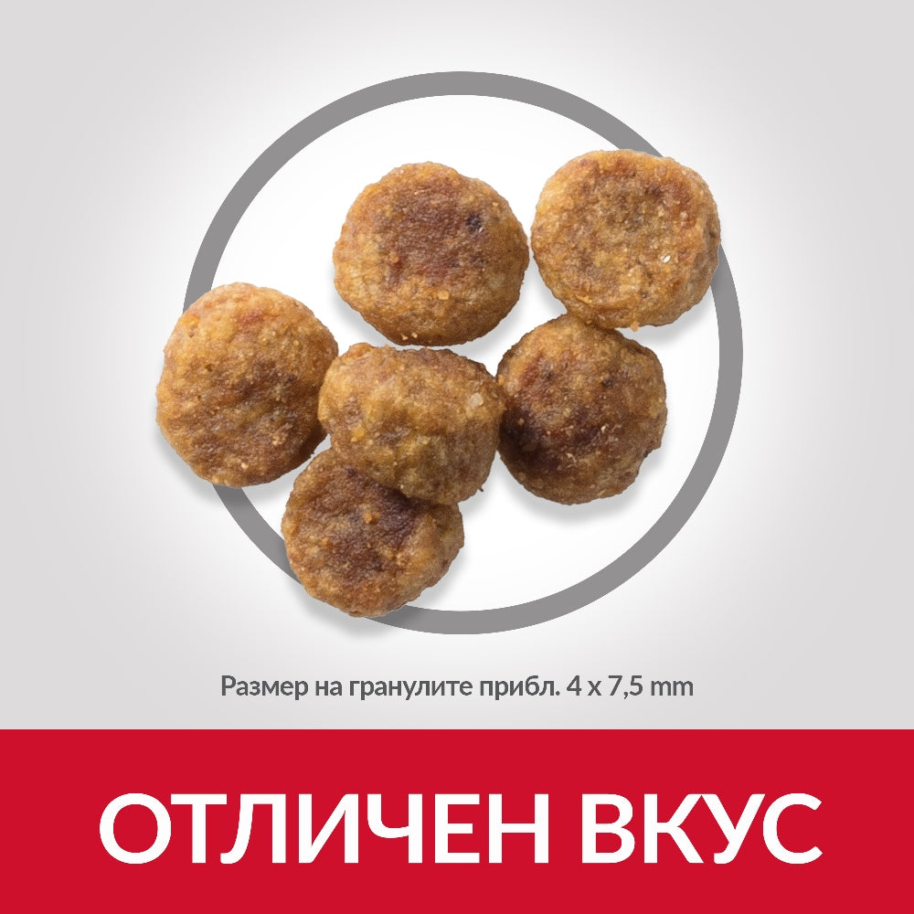 Hill's Science Plan Small & Mini Adult с агнешко и ориз - Zoo-PetShop