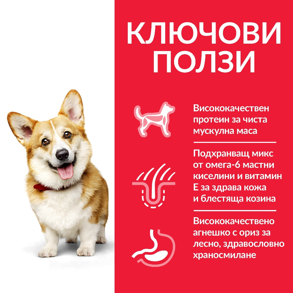 Hill's Science Plan Small & Mini Adult с агнешко и ориз - Zoo-PetShop