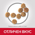 Заредете изображението в програмата за преглед на галерия, Hill's Science Plan Small & Mini Sensitive Stomach Skin Adult с пилешко - Zoo-PetShop
