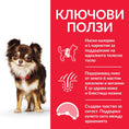 Заредете изображението в програмата за преглед на галерия, Hill's Science Plan Small & Mini Sensitive Stomach Skin Adult с пилешко - Zoo-PetShop
