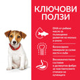Заредете изображението в програмата за преглед на галерия, Hill's Science Plan Small & Mini Puppy с агнешко и ориз - Zoo-PetShop
