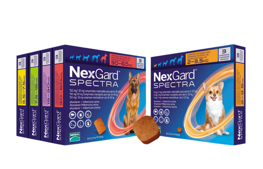 NexGard XS 1.35-3.5 kg - специална цена за 2 кутии с 6 таблетки-55.80€ (109.14 лв)